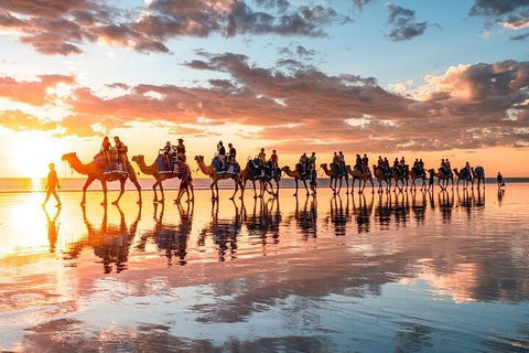 1 Hour Broome Sunset Camel Tour - Holiday Adelaide 2