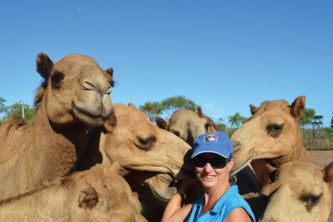 1 Hour Broome Sunset Camel Tour - Holiday Adelaide 3