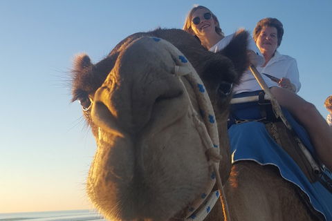 1 Hour Broome Sunset Camel Tour - Holiday Adelaide 4