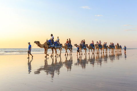1 Hour Broome Sunset Camel Tour - Holiday Adelaide 5