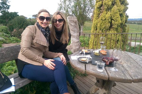 McLaren Vale Intimate Winery Tour By Private Limo - Holiday Adelaide 4