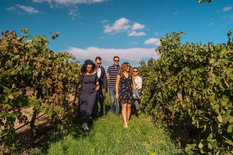 Barossa Valley Private Tour (from 2 To 11 People) - Holiday Adelaide 0