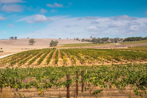 Barossa Valley Private Tour (from 2 To 11 People) - Holiday Adelaide 2