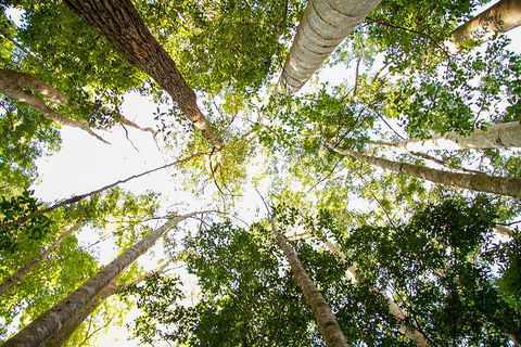 Fraser Island 4WD Tour From Noosa - Holiday Adelaide 0