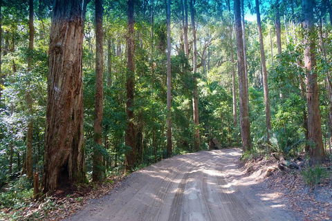 Fraser Island 4WD Tour From Rainbow Beach - Holiday Adelaide 4