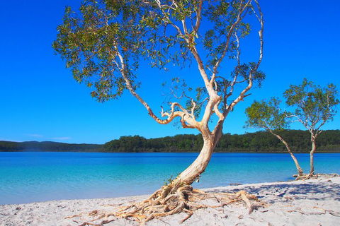 Fraser Island 4WD Tour From Rainbow Beach - Holiday Adelaide 5