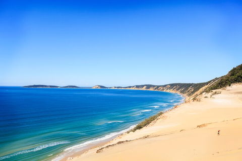 Kayak With Dolphins And 4WD Great Beach Drive Day Trip From Noosa - Holiday Adelaide 0