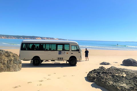 Kayak With Dolphins And 4WD Great Beach Drive Day Trip From Noosa - Holiday Adelaide 4