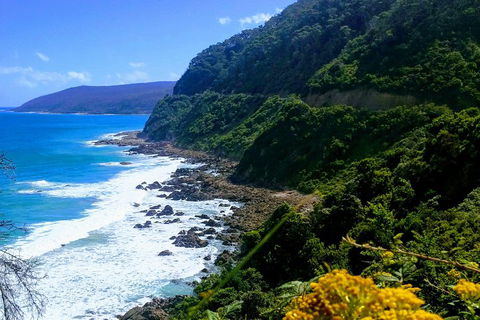 Great Ocean Road Adventure - Private Tour - Reverse - Holiday Adelaide 3