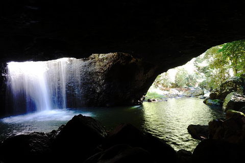 Rainforest & Waterfalls Extravaganza - Holiday Adelaide 0