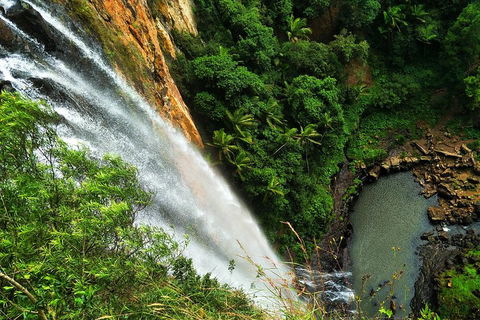 Rainforest & Waterfalls Extravaganza - Holiday Adelaide 1