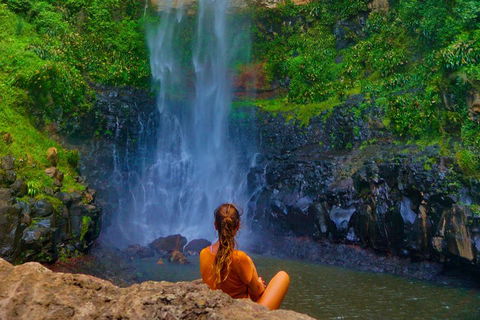 Rainforest & Waterfalls Extravaganza - Holiday Adelaide 2