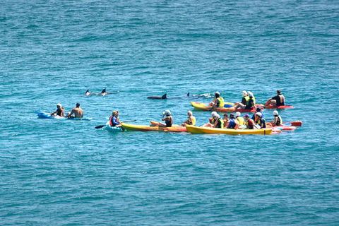 The Byron Bay Sea Kayak Tour - Holiday Adelaide 1