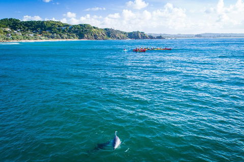 The Byron Bay Sea Kayak Tour - Holiday Adelaide 2