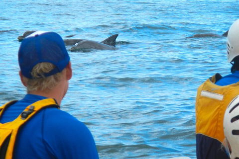 The Byron Bay Sea Kayak Tour - Holiday Adelaide 4