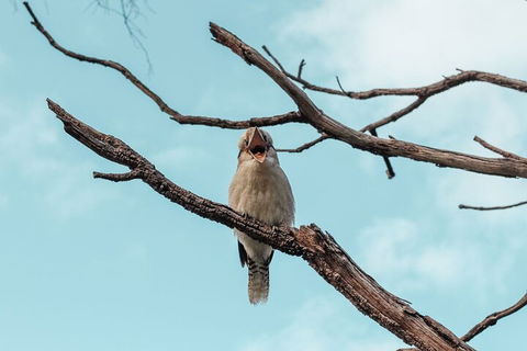 Highlights Of Kings Park - Holiday Adelaide 0