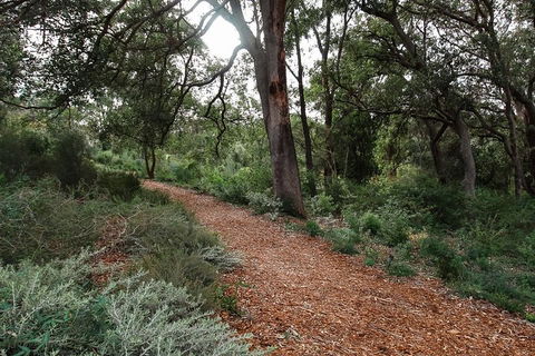 Highlights Of Kings Park - Holiday Adelaide 5