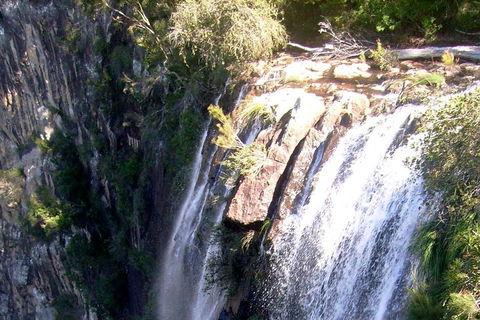 Byron Bay Combo: Hinterland Tour Including Minyon Falls And Kayaking With Dolphins - Holiday Adelaide 3