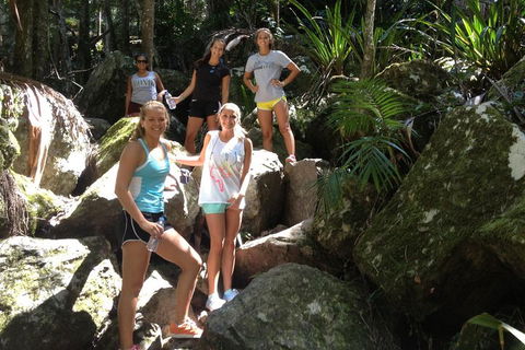 Byron Bay Combo: Hinterland Tour Including Minyon Falls And Kayaking With Dolphins - Holiday Adelaide 4