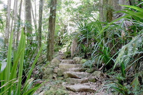 Byron Bay Combo: Hinterland Tour Including Minyon Falls And Kayaking With Dolphins - Holiday Adelaide 5