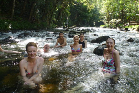 Daintree Rainforest, Cape Tribulation, Mossman Gorge Small-Group Day Tour - Holiday Adelaide 0