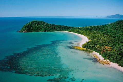 Daintree Rainforest, Cape Tribulation, Mossman Gorge Small-Group Day Tour - Holiday Adelaide 4