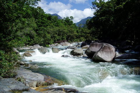 Daintree Rainforest, Cape Tribulation, Mossman Gorge Small-Group Day Tour - Holiday Adelaide 5