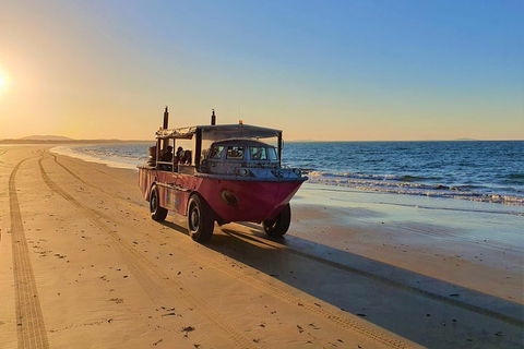 Town Of 1770 Afternoon Cruise - Holiday Adelaide 1
