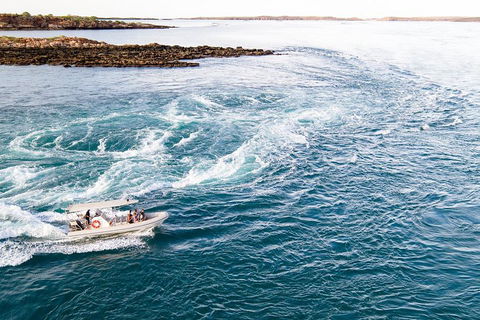 Giant Tides Tour - Cygnet Bay Pearl Farm - Holiday Adelaide 4