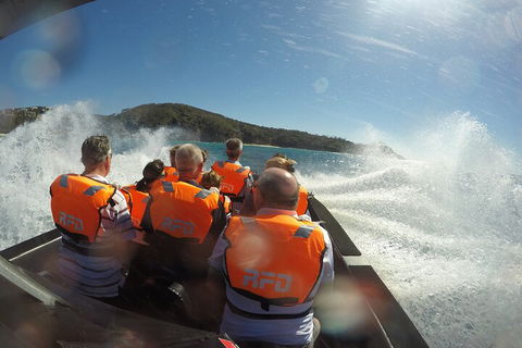 Noosa Thriller - 500hp Ocean Adventure Ride - Holiday Adelaide 3