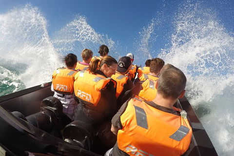 Noosa Thriller - 500hp Ocean Adventure Ride - Holiday Adelaide 4