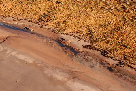 Scenic Flight: Lizard Safari - Holiday Adelaide 0