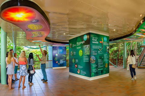 Skyrail & Kuranda Train Day Trip From Cairns - Holiday Adelaide 0