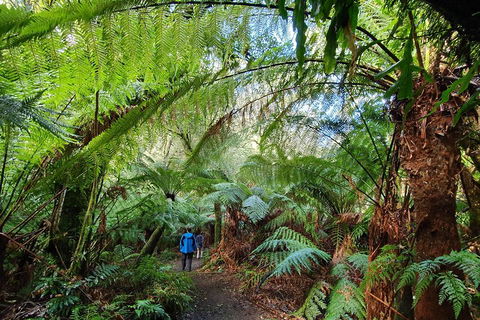 3-Day Adelaide To Melbourne Tour Including The Great Ocean Road - Holiday Adelaide 2
