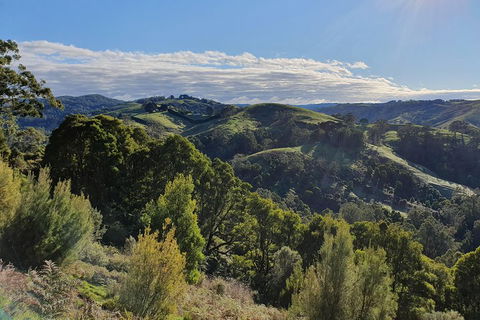 3-Day Adelaide To Melbourne Tour Including The Great Ocean Road - Holiday Adelaide 5