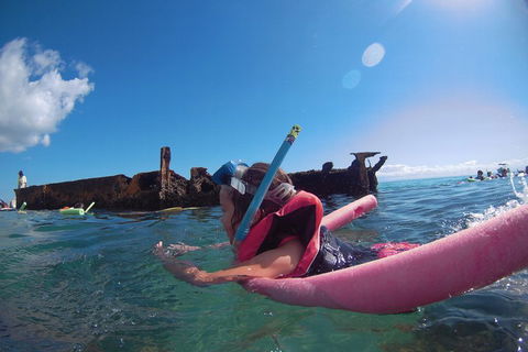 All Inclusive Dolphin And Tangalooma Wrecks Cruise - Holiday Adelaide 2