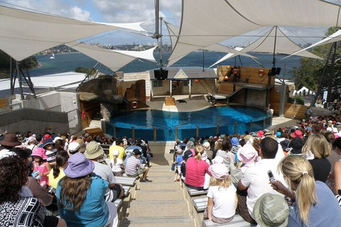 Sydney Taronga Zoo General Entry Ticket - Holiday Adelaide 5