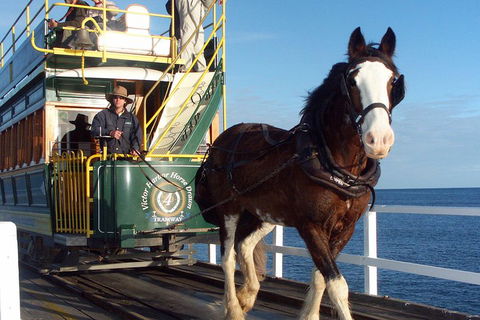 Full-Day Tour In South Australia Highlights - Holiday Adelaide 1