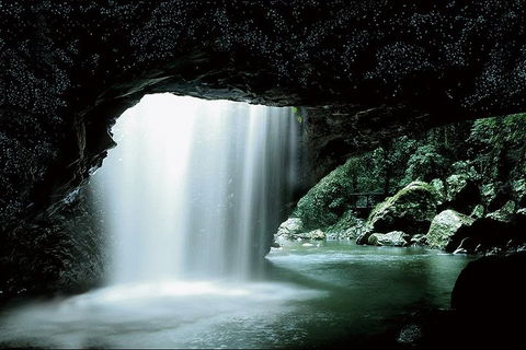 Natural Bridge Glow Worm Night Tour From Gold Coast - Holiday Adelaide 0