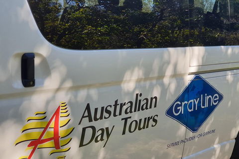 Natural Bridge Glow Worm Night Tour From Gold Coast - Holiday Adelaide 5