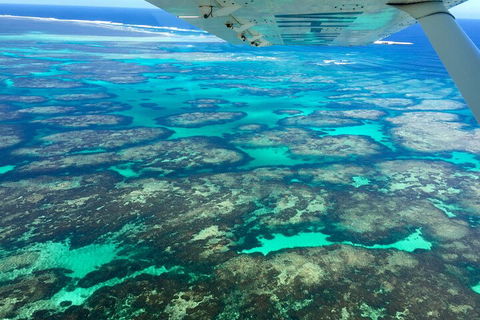 Shipwreck Special Full Day Tour Of The Abrolhos Islands - Holiday Adelaide 1
