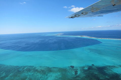 Shipwreck Special Full Day Tour Of The Abrolhos Islands - Holiday Adelaide 2