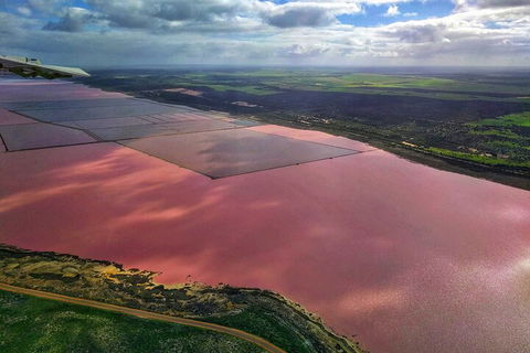 Kalbarri, Pink Lake And Abrolhos Islands Nature Tour - Holiday Adelaide 1