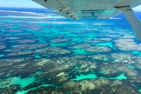 Kalbarri, Pink Lake And Abrolhos Islands Nature Tour - Holiday Adelaide 5