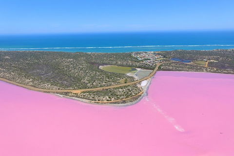 Pink Lake + Abrolhos Islands Nature Tour - Holiday Adelaide 4
