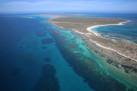 Pink Lake + Abrolhos Islands Scenic Flight - Holiday Adelaide 0
