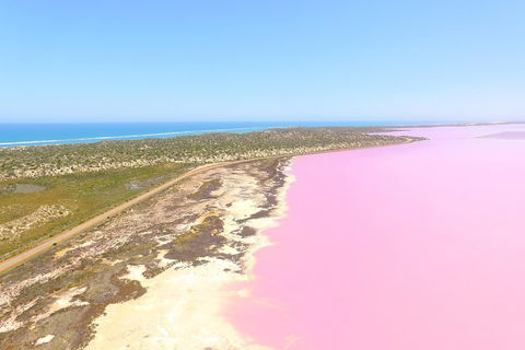 Pink Lake + Abrolhos Islands Scenic Flight - Holiday Adelaide 4