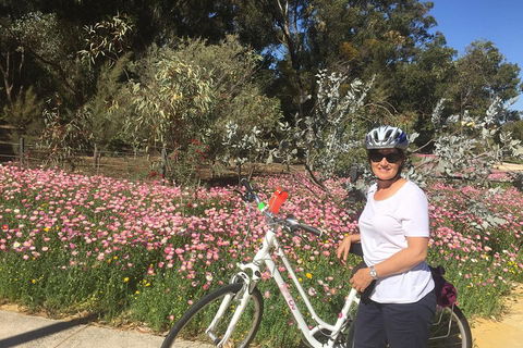 Perth Bike Tour - Beautiful Matilda Bay And Kings Park - Holiday Adelaide 1