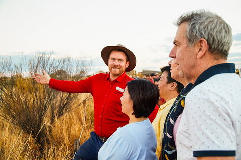 Uluru (Ayers Rock) Sunset With Outback Barbecue Dinner And Star Tour - Holiday Adelaide 3