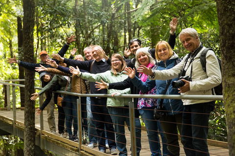 All Inclusive Blue Mountains Small-Group Day Trip From Sydney - Holiday Adelaide 5